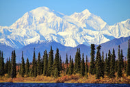 Alaska LLC Formation