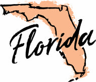 Florida Good Standing Certificate