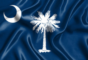 South Carolina Registered Agent